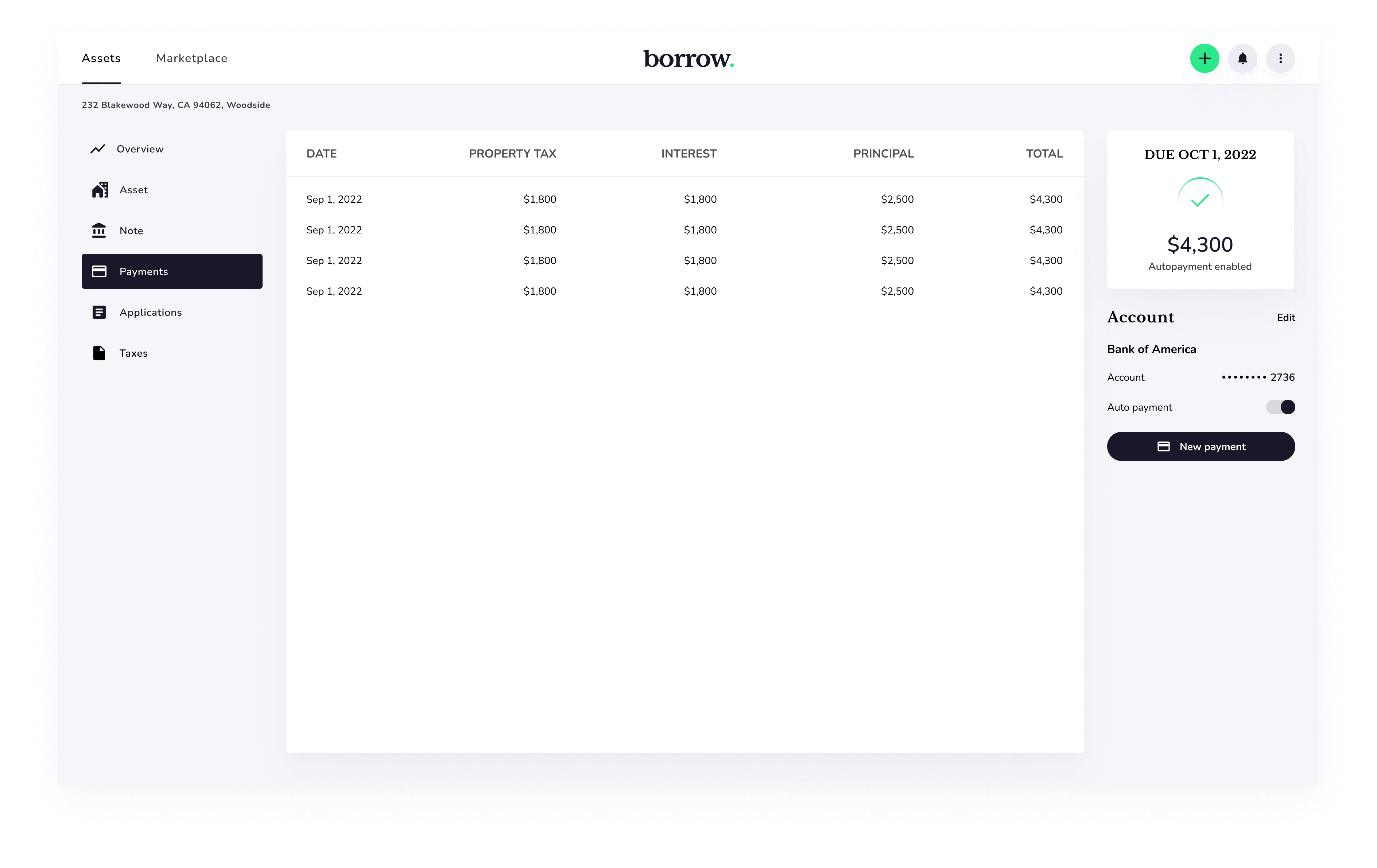 Borrow gallery image 10